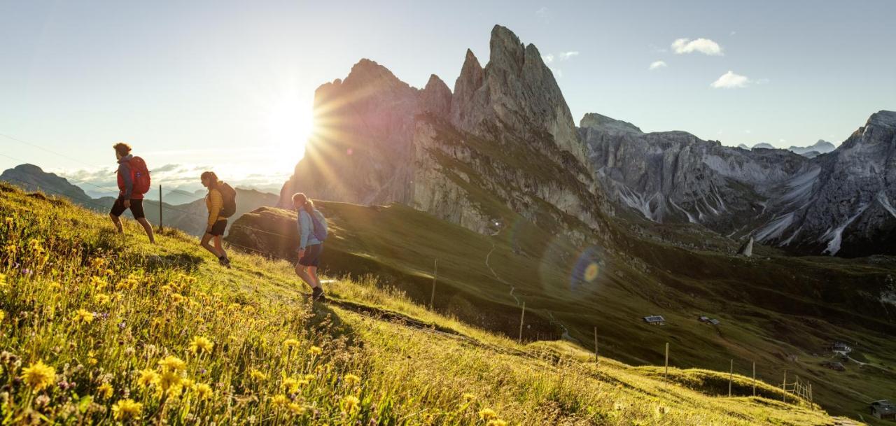 Eden Apartments Alpe di Alpe di Siusi Extérieur photo